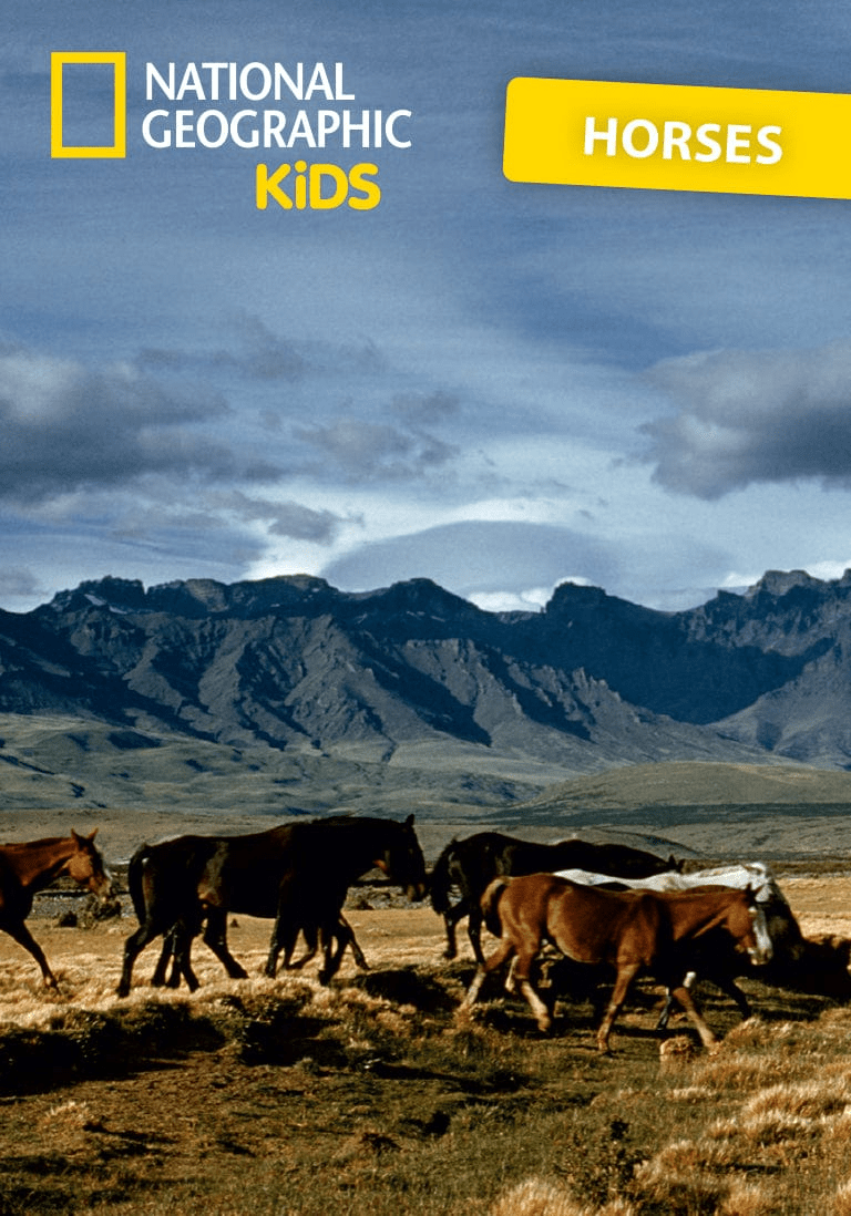 National Geographic Kids Horse Tonie Audio Character