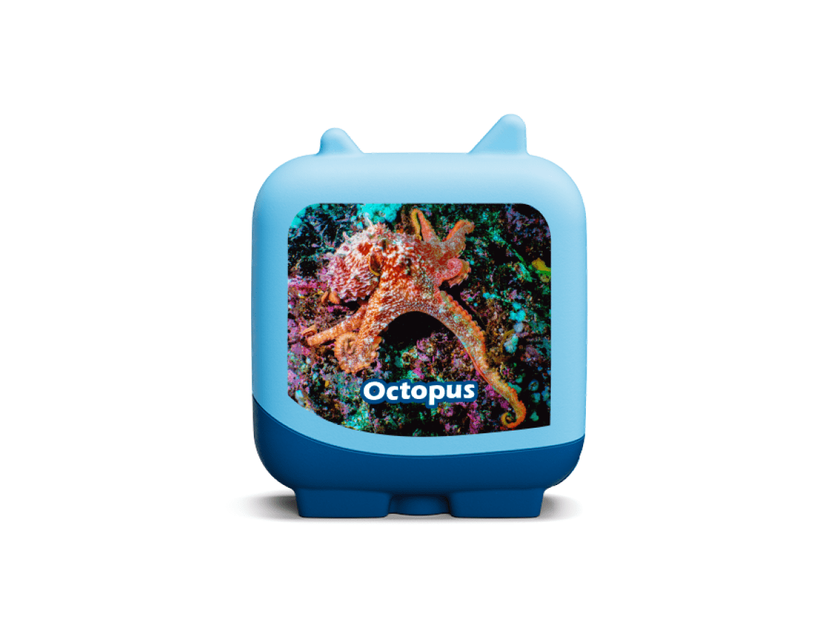 Marine Life Pocket Tonies 4 Pack Audio Character