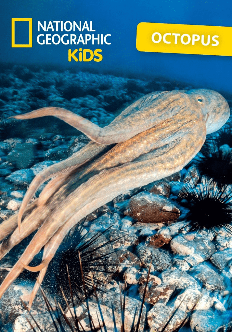 National Geographic Kids Octopus Tonie Audio Character