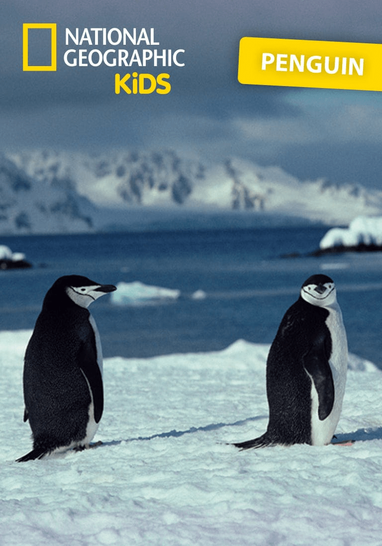 National Geographic Kids Penguin Tonie Audio Character