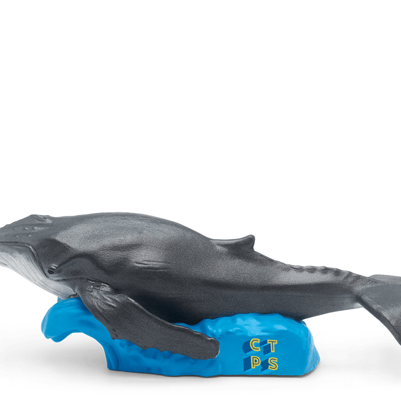 National Geographic Kids Whale Tonie Audio Character