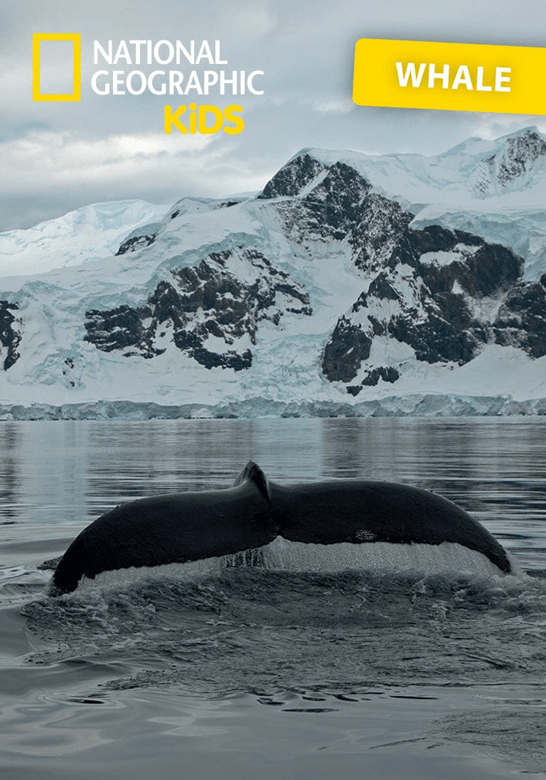 National Geographic Kids Whale Tonie Audio Character