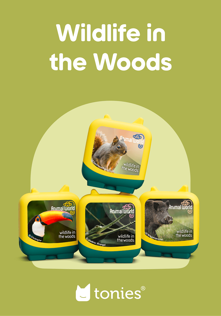 Animal World Wildlife in the Woods Pocket Tonies 4 Pack Audio Character